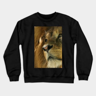 Lion head close-up Crewneck Sweatshirt